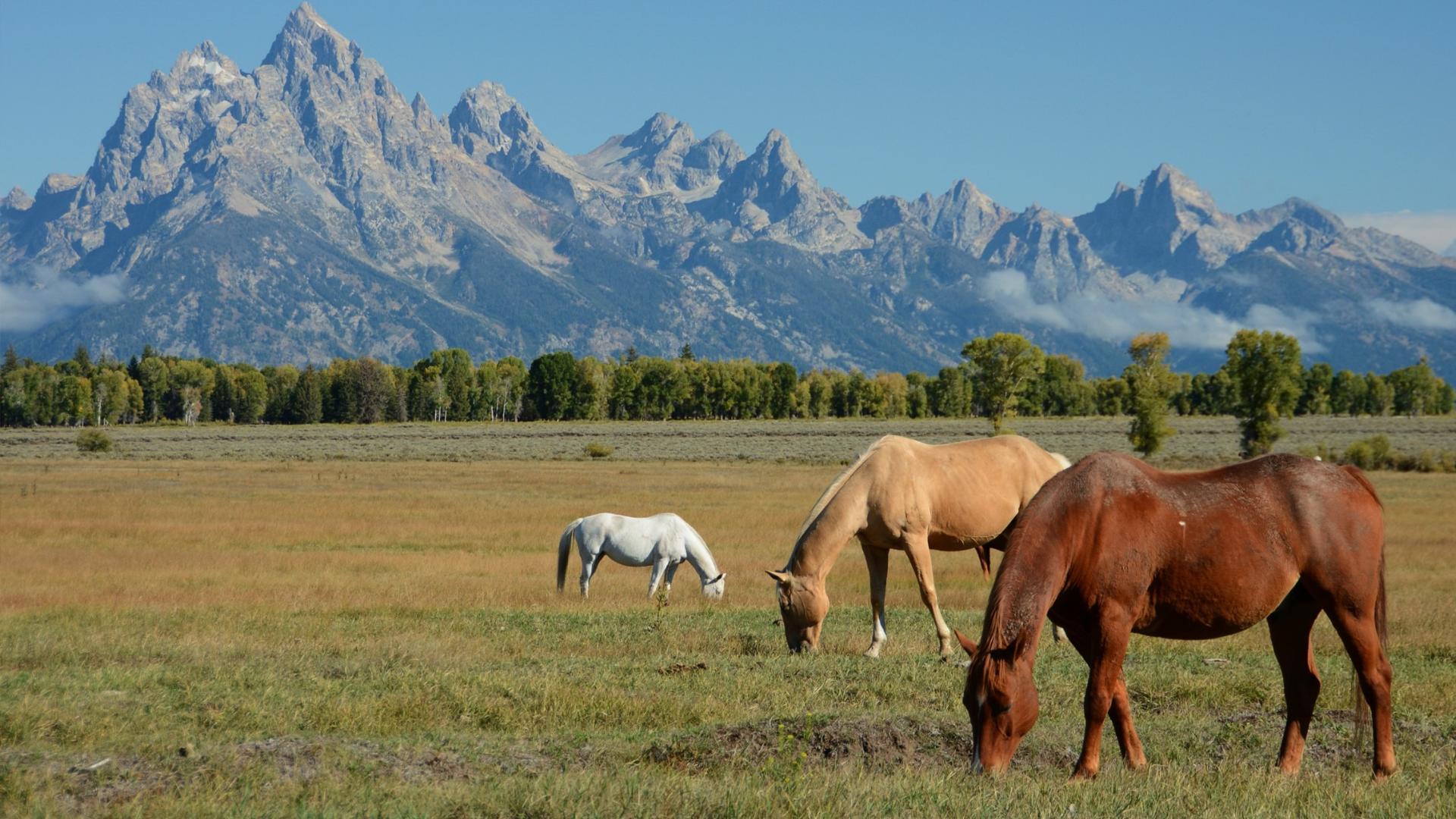 Wyoming