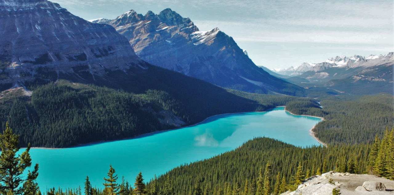 Lac Peyto, Rocheuses, Alberta, Canada