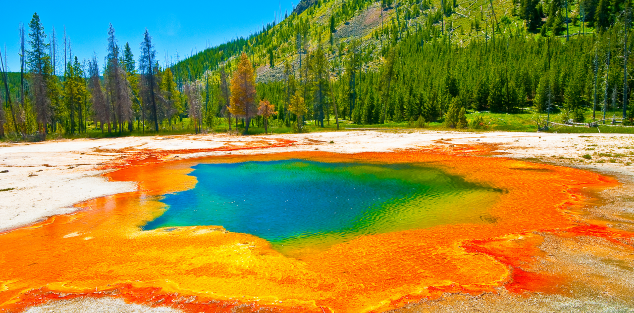 Geyser de Yellowstone, USA