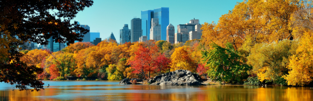 Central Park New York