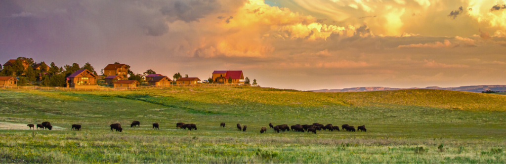 Zion Mountain Ranch