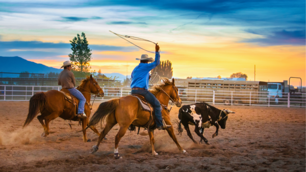 Ranchs et cowboys au Texas