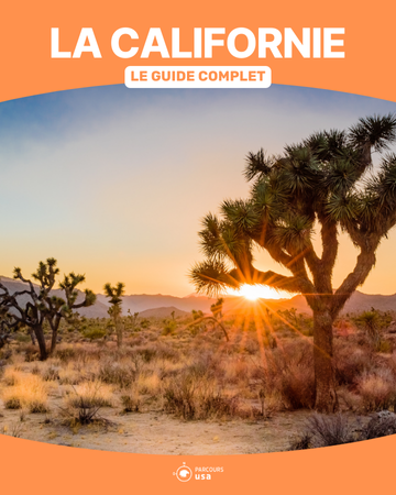 Le parc national de Joshua Tree en Californie, USA